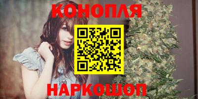 шишки Апшеронск