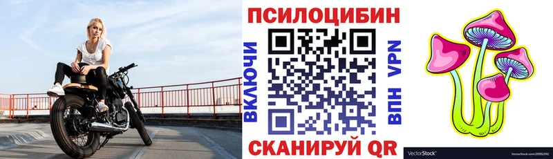 что такое наркотик  Асбест  кракен   Галлюциногенные грибы мицелий 