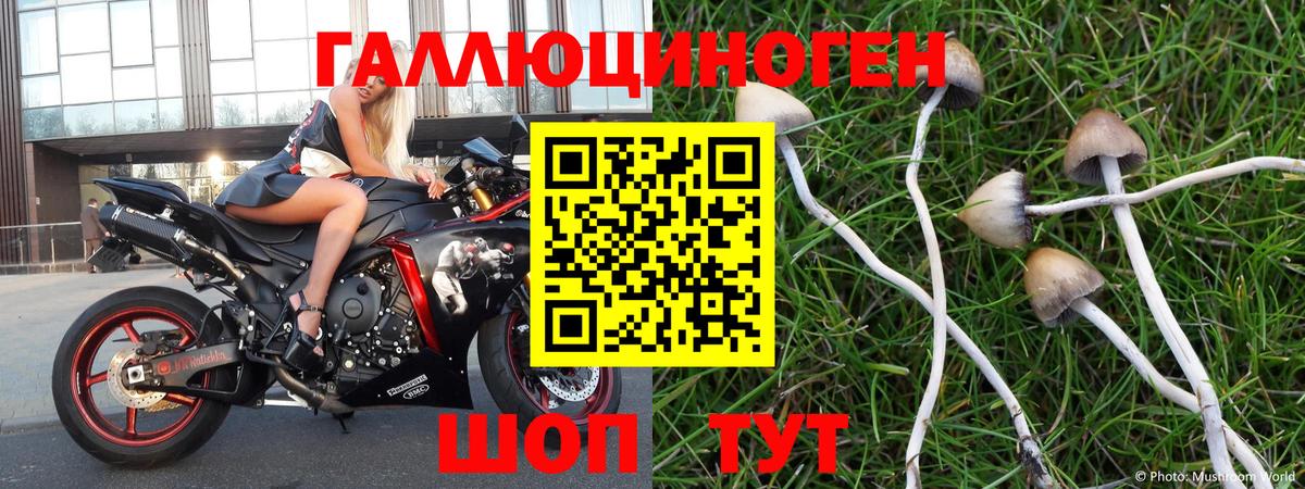 Галлюциногенные грибы мицелий Асбест